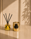 After Dark | Candle & Diffuser Bundle